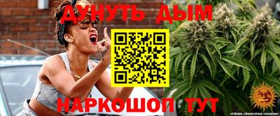 амф Новодвинск