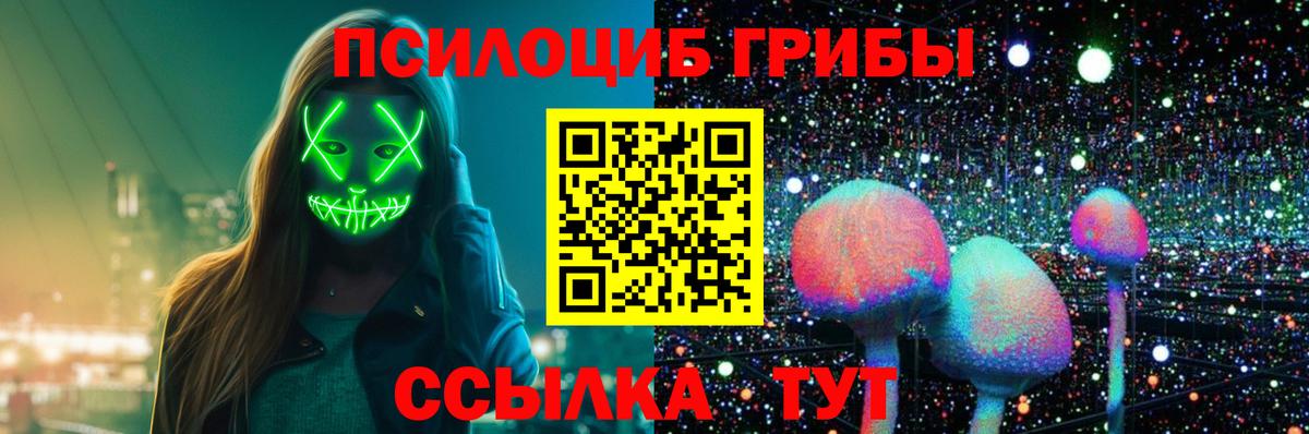 Тайшет  Псилоцибиновые грибы GOLDEN TEACHER  Вход с VPN 